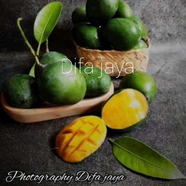 

mangga talijiwo talijiwa Pelem jiwo 1 kg fresh Di petik jika ada pesanan