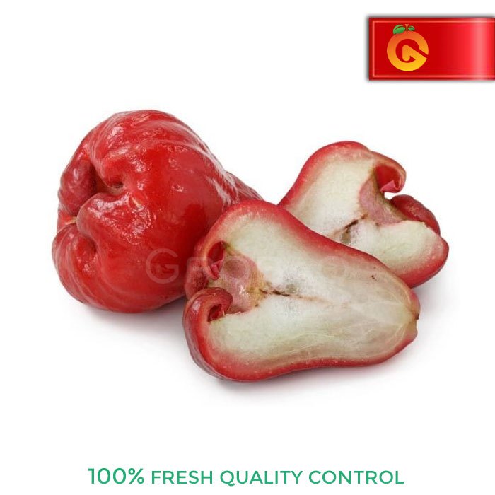 

Buah Jambu Air Fresh 500 Gram
