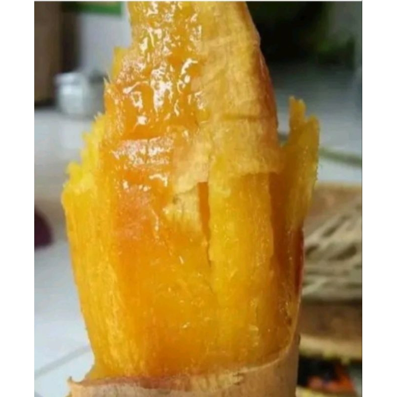

DEB UBI CILEMBU SUDAH MATEMG TINGGAL D MAKAN YA JUAL PERKG YA KAK