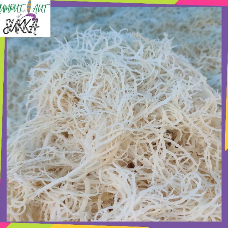 

[KODE PRODUK RWKBB4574] Rumput laut 1kg kering normal