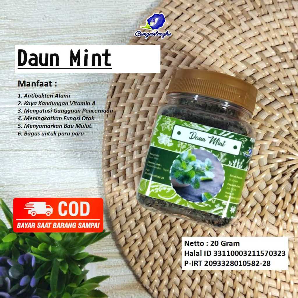 

Daun Mint Kering | terapi paru