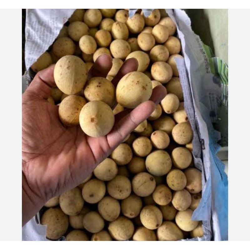 

Buah duku segar 1 kg manis
