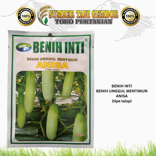 BENIH INTI benih unggul mentimun ANISA