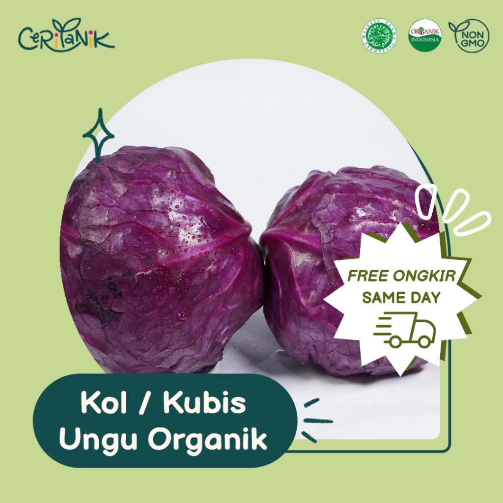 

Kol/Kubis Ungu Organik 500 gram - Ceritanik - Purple Cabbage Organic - Sayur Organik Murah - Sayur Organik Sehat - Sayur Organik Premium