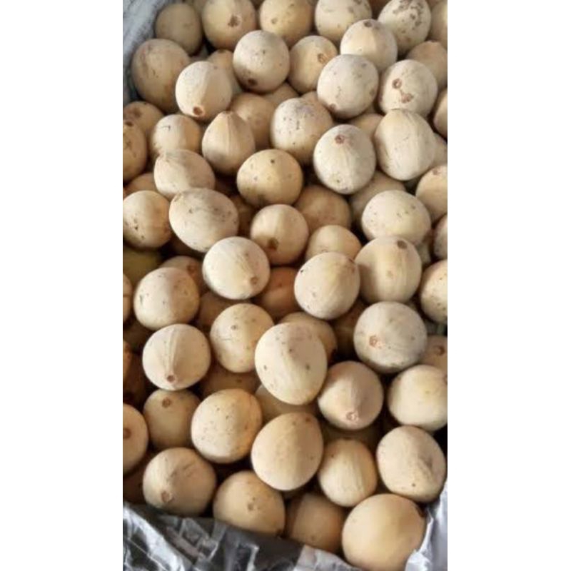 

Buah duku | DUKUH | DUKU | duku pontianak| dukuh manis | buah duku bandung |