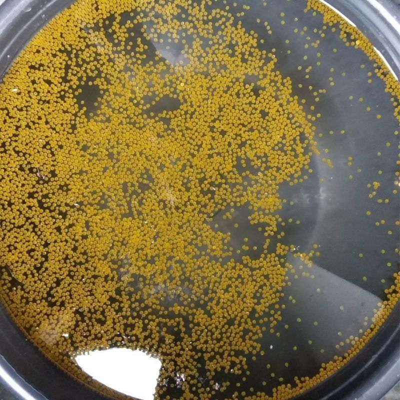 Isi 500 Butir Telor Gurame Padang