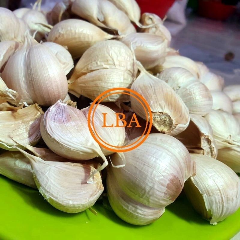 

Bawang Putih Kating 250 Gram