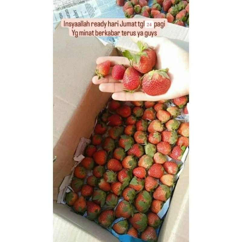 

strawberry fresh