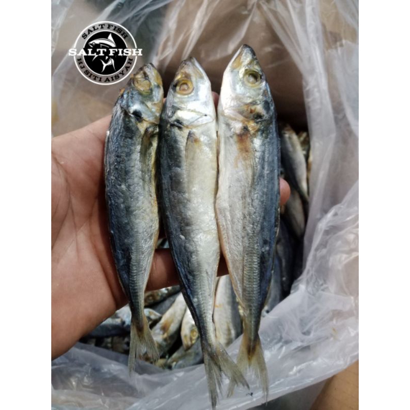 

Ikan Asin Japuh/Peda Layang ;1kg