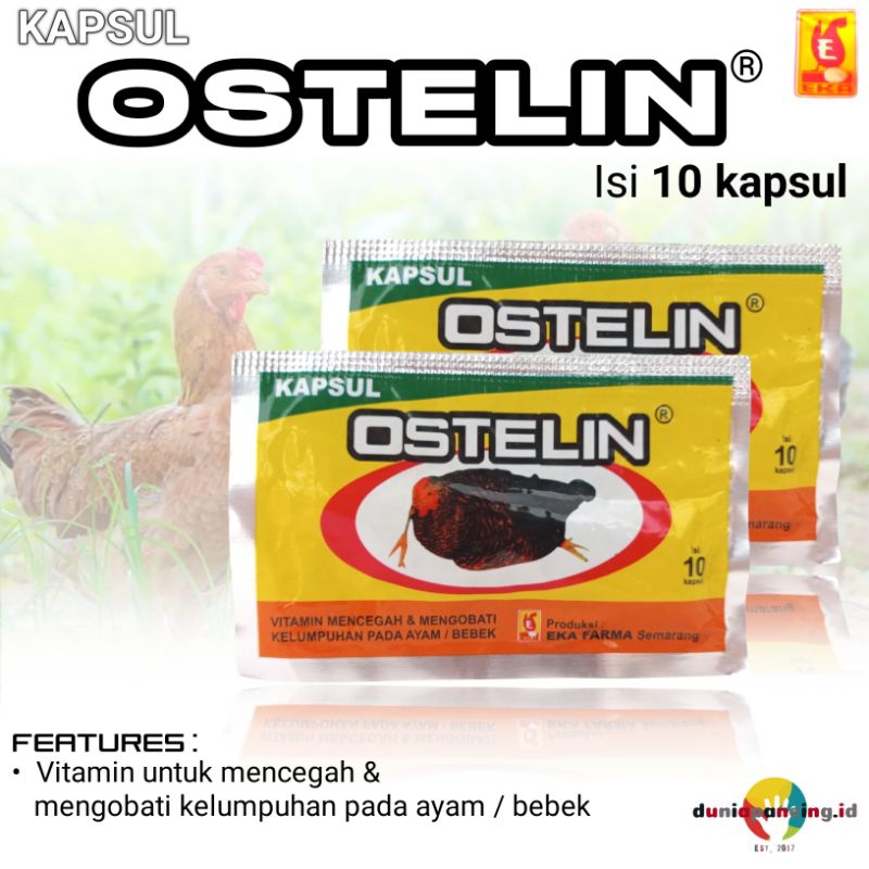 Obat Ostelin isi 10 kapsul mengatasi unggas lumpuh kelumpuhan ayam bebek