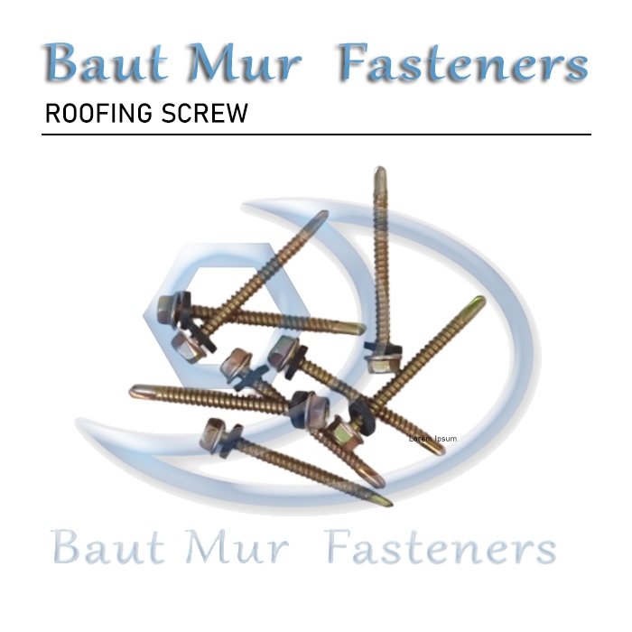 Roofing 5 cm | screw Roofing 12 x 50