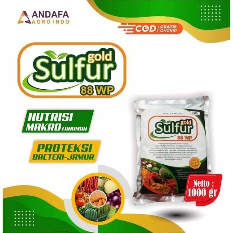 Sulfur Gold Fungisida Kemasan 1KG