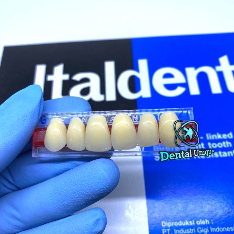 RB22 Gigi palsu italdent Perbox italdent depan atas Anterior Atas