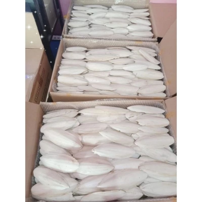 ASINAN TULANG SOTONG ASINAN MULTIFUNGSI