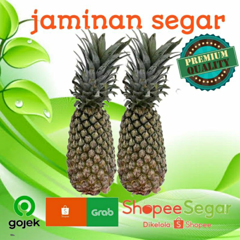 

nanas palembang perbuah