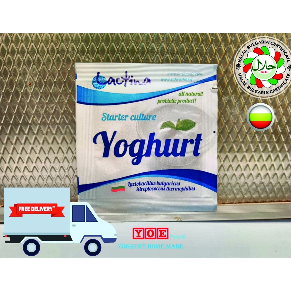 

97 Bibit yogurt Lactobacillus made from bulgaria 86