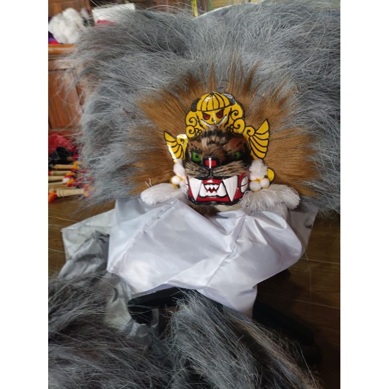 Singo barong macan putih kecil(15)