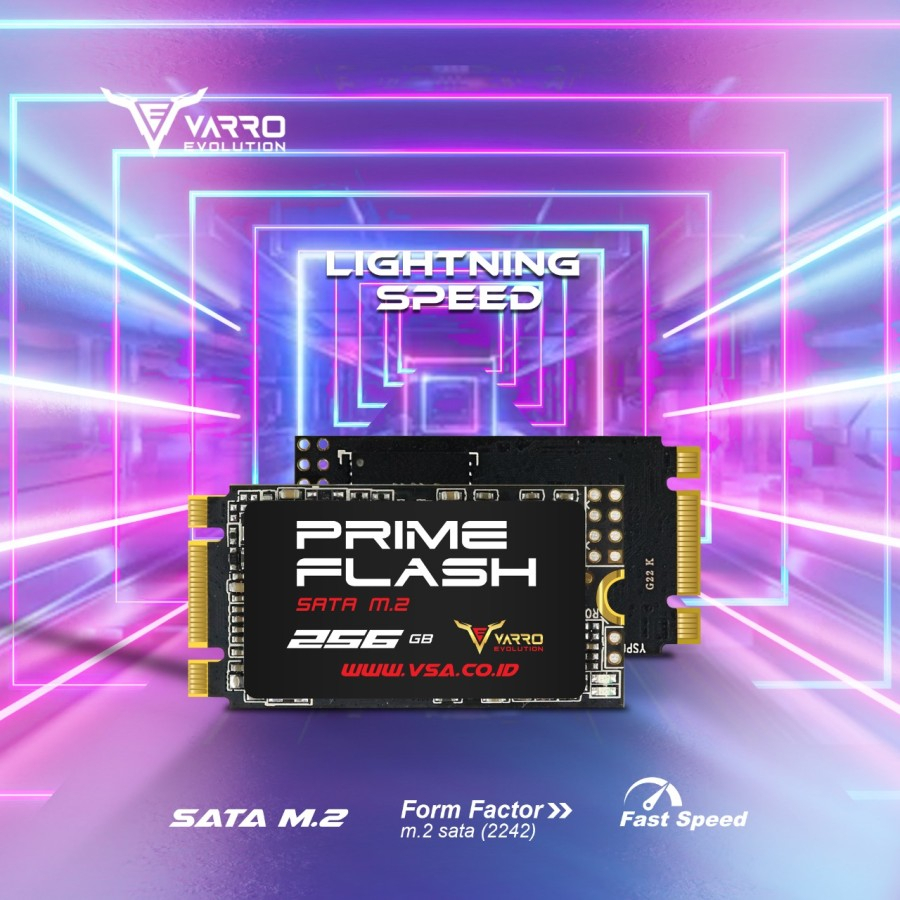 SSD VARRO 128GB 256GB 512GB M2 SATA TYPE 2242