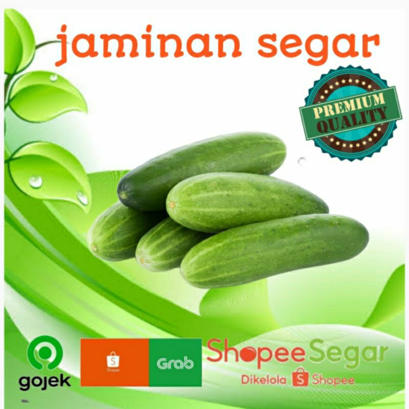 

timun segar 500gr