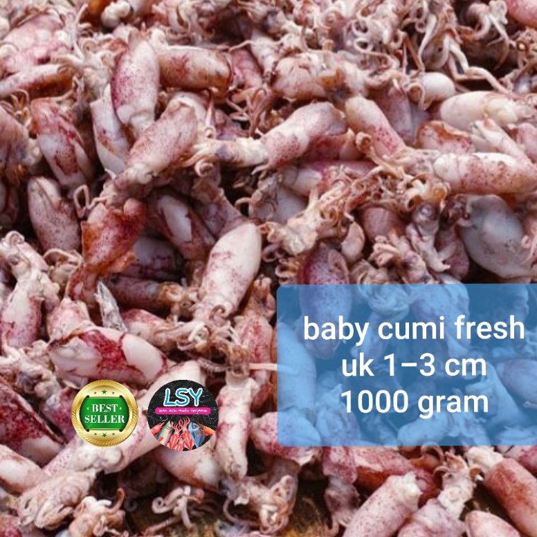 

[♡G23@] ikan asin baby cumi / cumi asin / cumi rebus 78 berat 1kg Only One