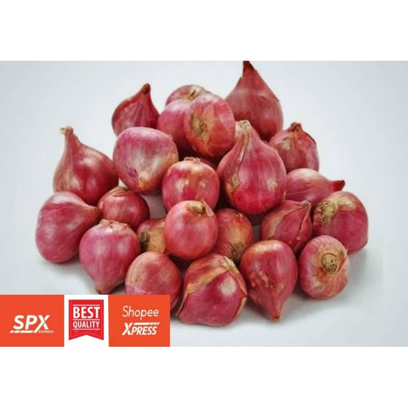 

Bawang Merah Brebes Kualitas Super