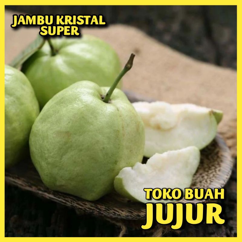 

JAMBU KRISTAL