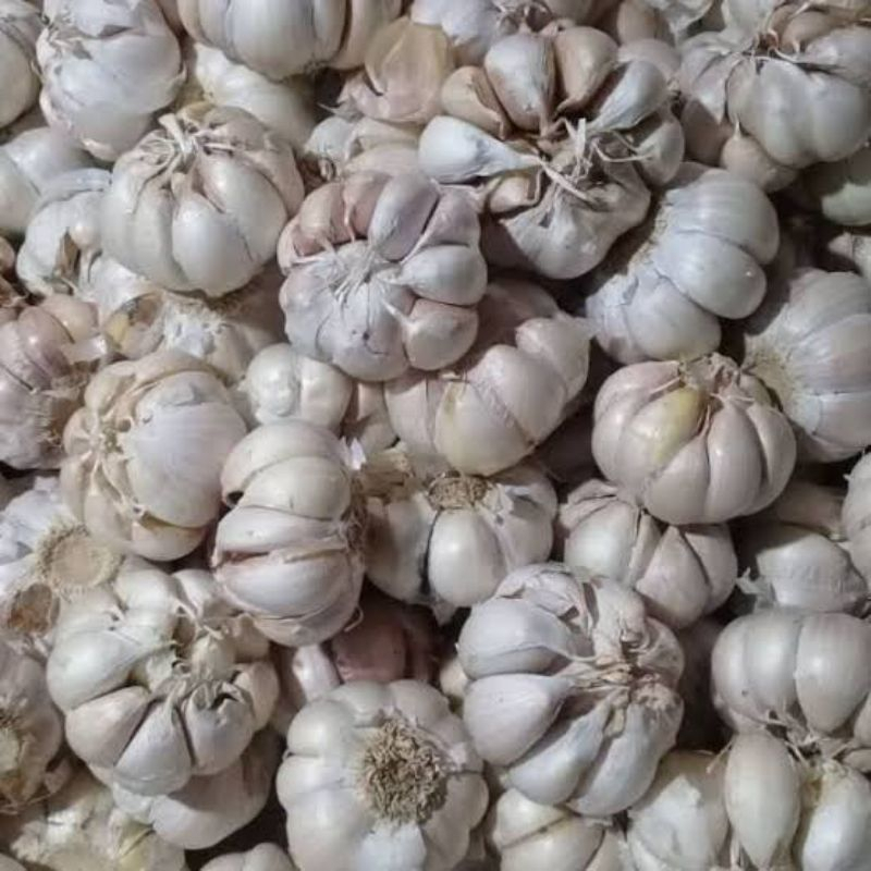 Bawang putih honan 1kg