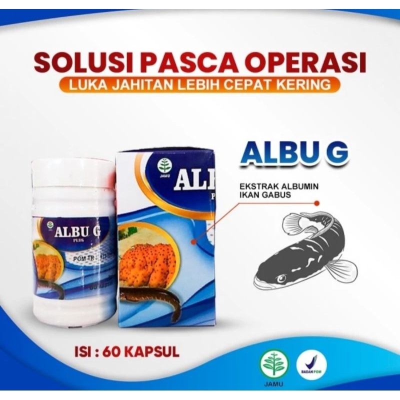 ALBU PLUS G ISI 60 KAPSUL EKSTRAK IKAN GABUS DAN GAMAT EMAS
