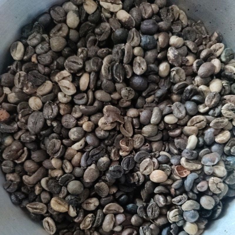 

Kopi mentah jenis Hitam Besar