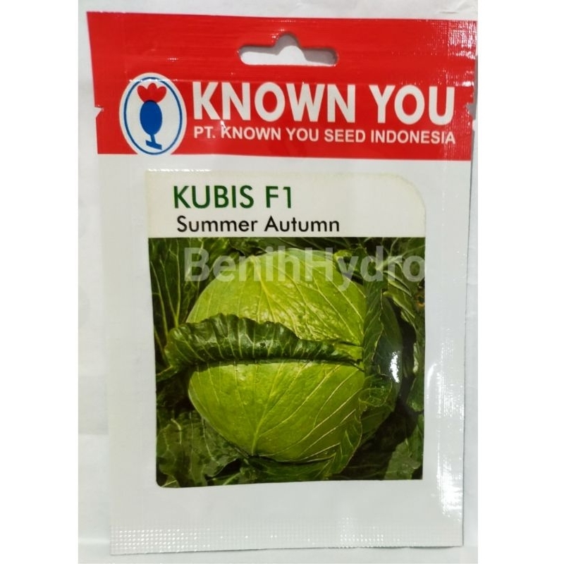 Benih Kubis F1 Summer Autumn 150 seed