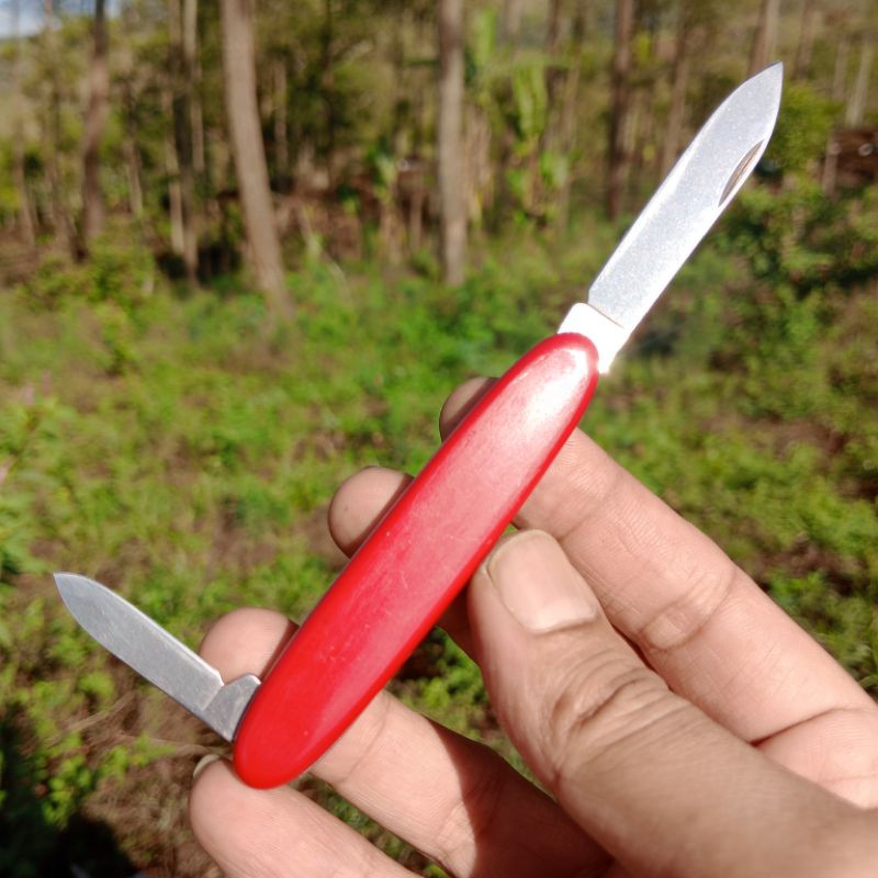 Victorinox POCKET PAL 1 Layer gentlemen folding knife swiss army vintage Excelsior tanpa key ring