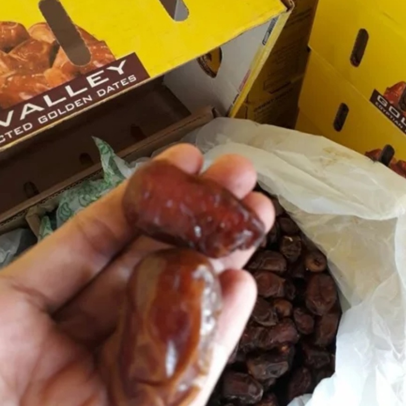 

TIPE HWN655 Kurma MESIR Premium / Kurma Golden Valley Gizza Dates Mesir Madu Original Super Fresh / Oleh Oleh Haji dan Umroh
