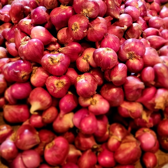 

82 Bawang Merah Probolinggo 1kg sbivo