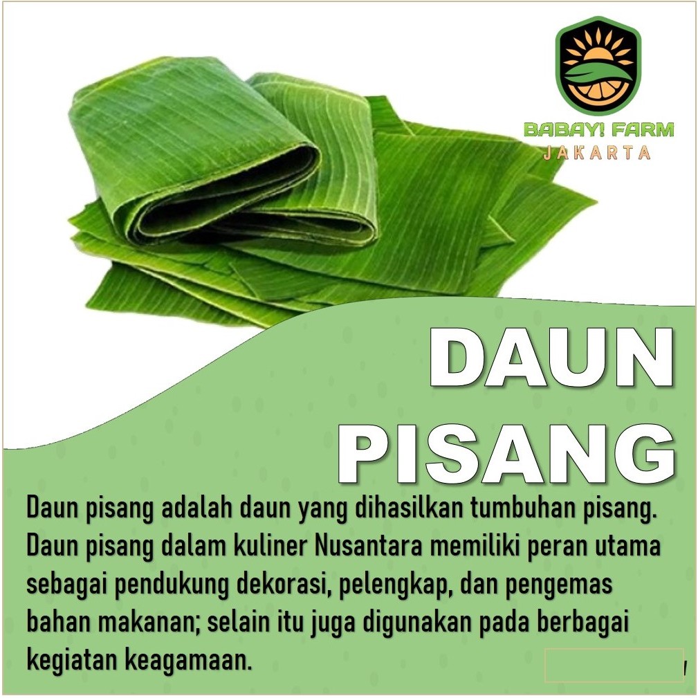 

daun pisang hijau segar / daun pembungkus makanan