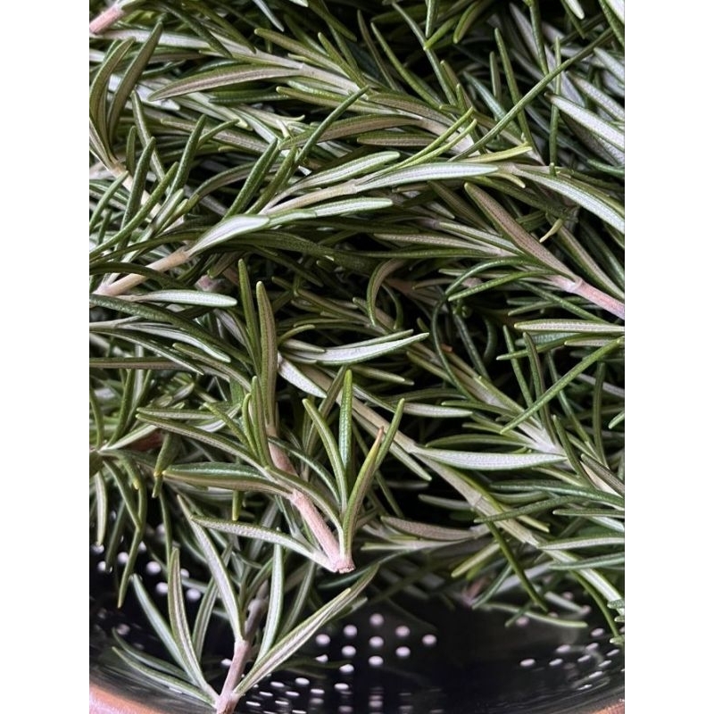 

Rosemary Kering/ Dry Rosemary 50g