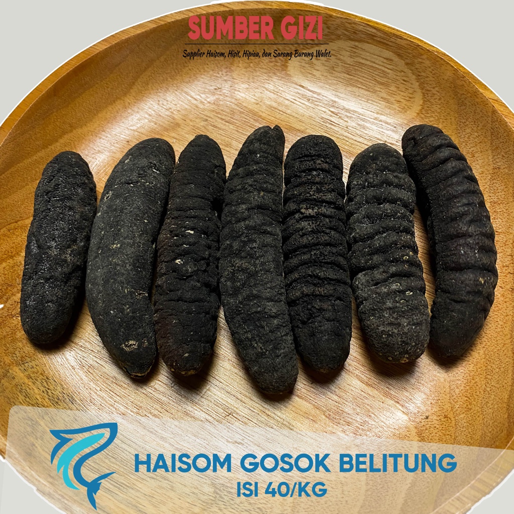 

Teripang Gosok Belitung Ukuran 40/ kg - (@100~500 gram)/ Haisom Gosok Bangka Belitung/ Hoisem/ Hoisom/ Tripang/ 海参