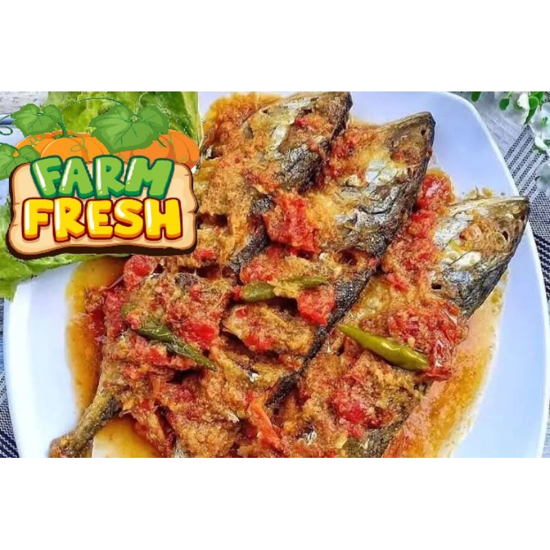 

IKAN KEMBUNG VARIASI isi 4-5 ekor