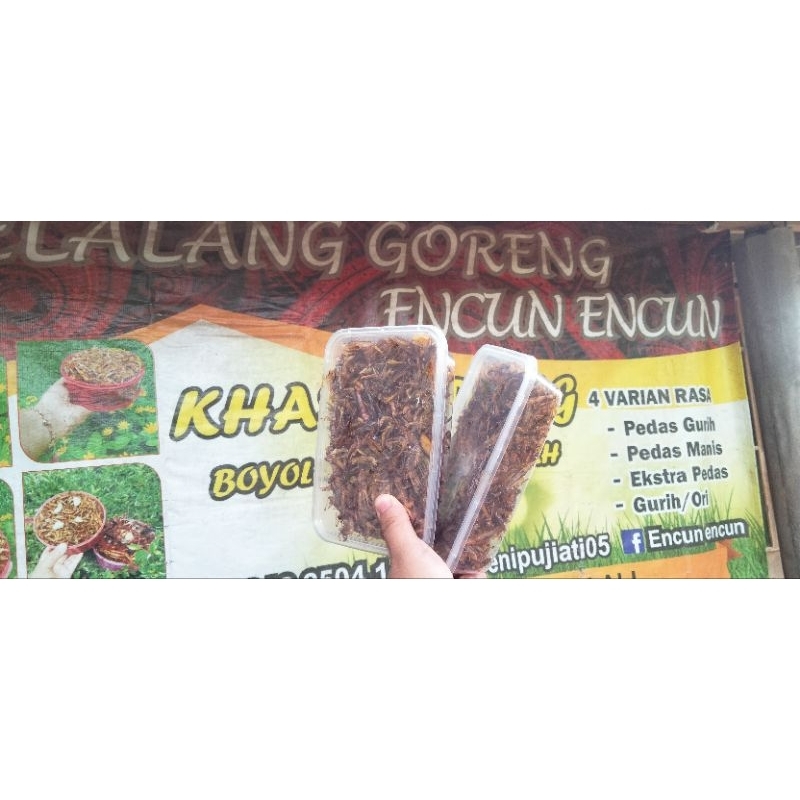 

belalang goreng pedas