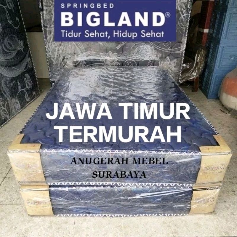 Kasur Springbed Bigpoint by Bigland (JAWA TIMUR)