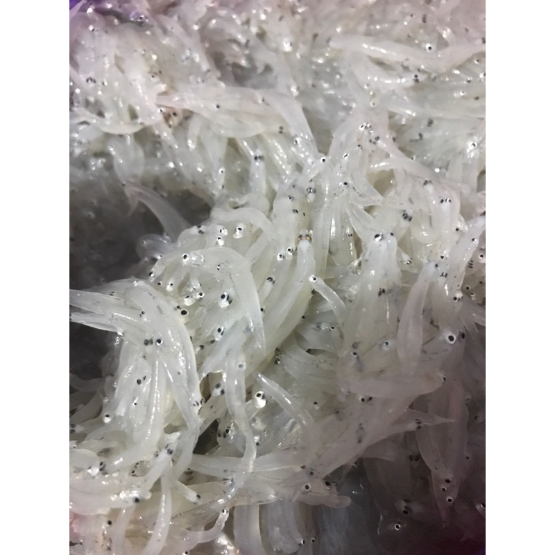 

Teri nasi basah