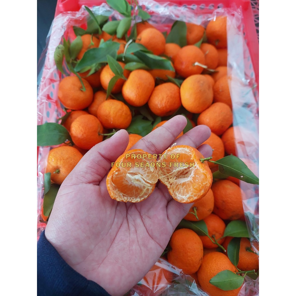 JERUK SANTANG MADU 1 KERANJANG SEGAR BANYAK AIR BERAT 6KG SUPER