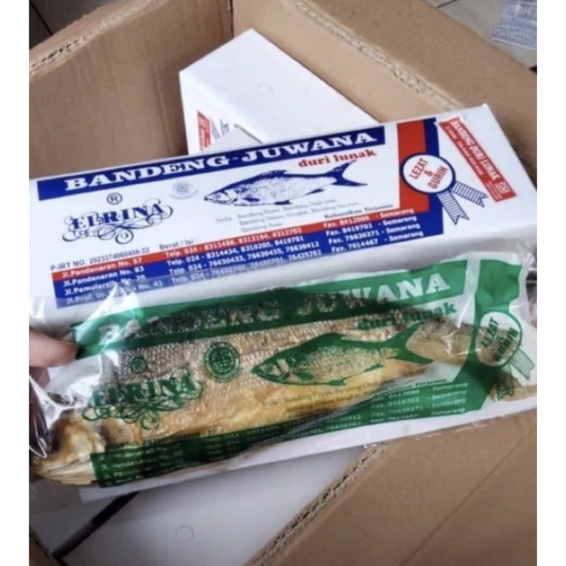 Bandeng Juwana Elrina