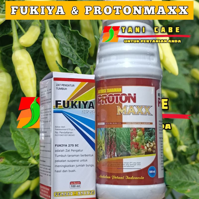 FUKIYA 100 ml & PROTONMAXX pupuk