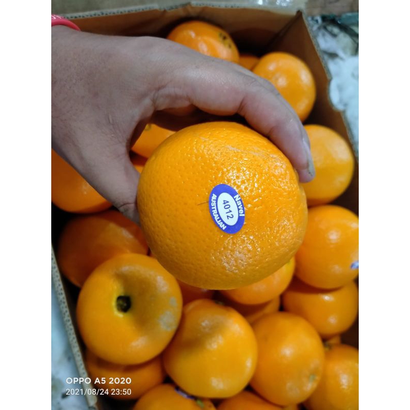 

Sunkist Nevel imfor fress/Sunkist buah bndung