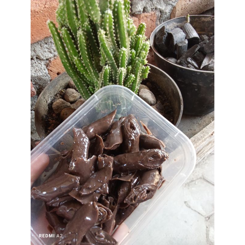 

cemilan ringan kacang sembunyi
