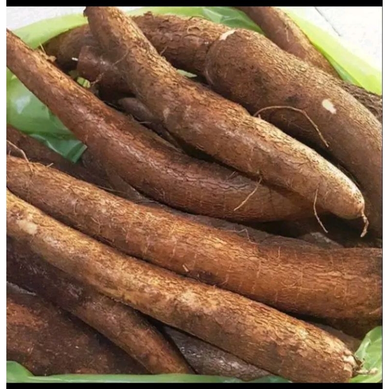 singkong mentega / singkong kuning