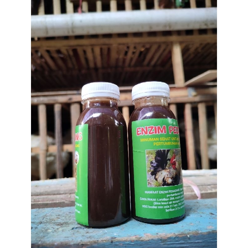 Enzim Pedaging Original Hasil Fermentasi Untuk Penggemukan Ayam Kampung & Unggas Lainnya (250ML)