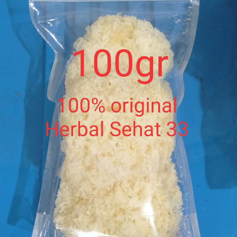 

[☂F73\] jamur putih / jamur salju Produk Terbaru