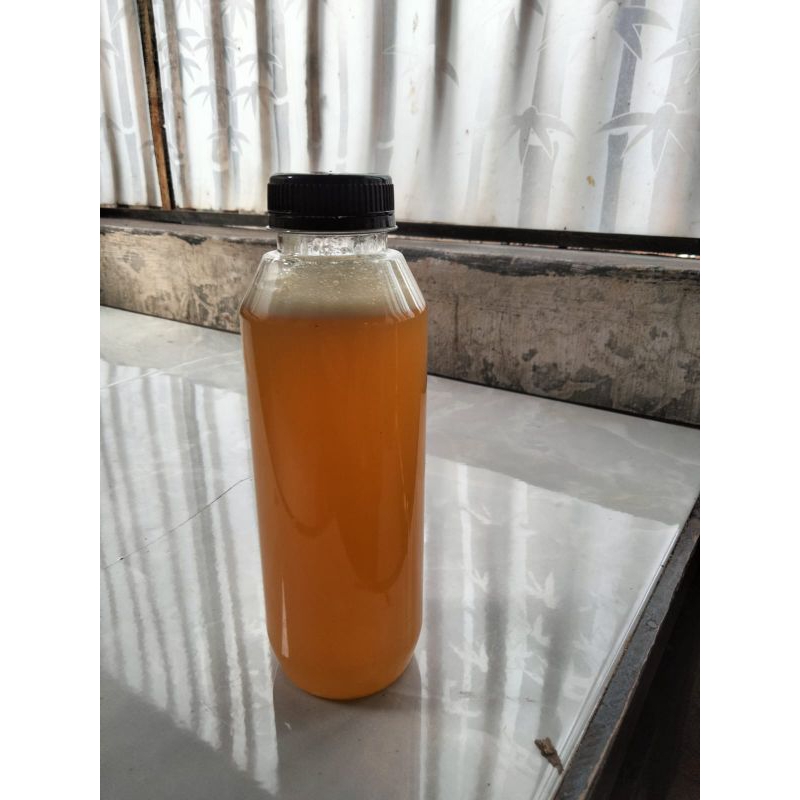 

Madu Dorsata / Odeng 500 ML