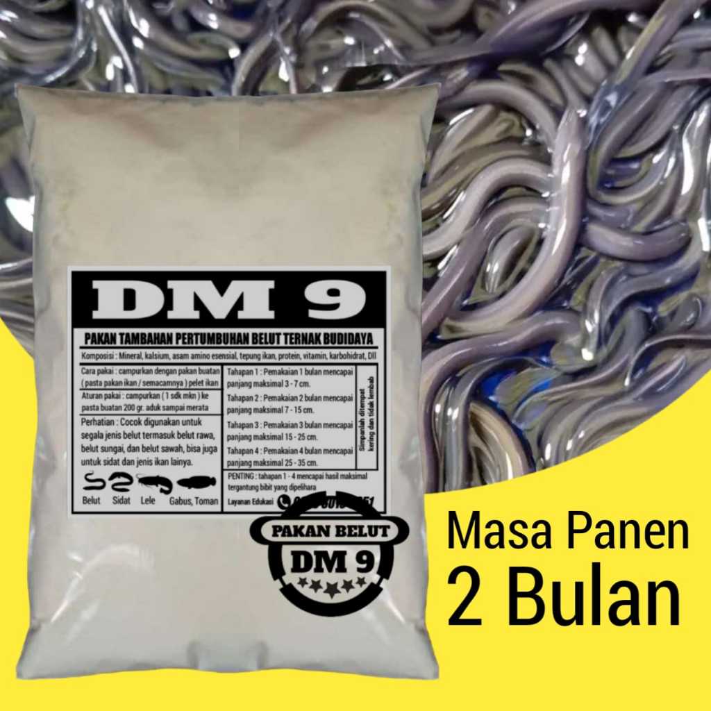 pakan belut ternak masa panen 2 bulan